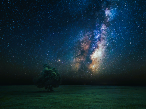 Fire Fly Meadowの画像