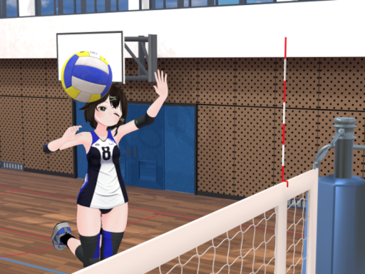 VRC Volleyball practiceの画像