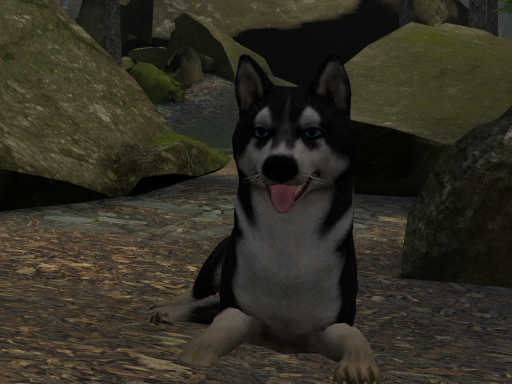 Happy Hill Dog Parkの画像